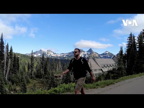 Video: Vaşinqtonun Mount Rainier Milli Parkı: Səyahət Bələdçisi