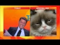 Anchor loses it in Grumpy Cat interview