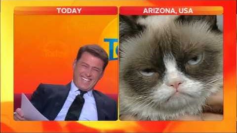 Anchor loses it in Grumpy Cat interview