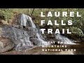 LAUREL FALLS TRAIL | Great Smoky Mountains National Park | National Park Waterfalls