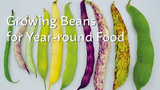 Growing Beans for Year-round Food