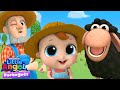 A fazendinha do Joãozinho 🐑 Little Angel | Moonbug Kids | Desenhos Animados para Crianças