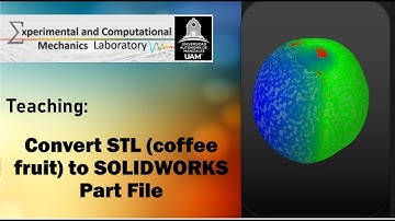Tutorial | Tips to Convert STL (coffee fruit) to SOLIDWORKS Part Using SPACECLAIM for ANSYS