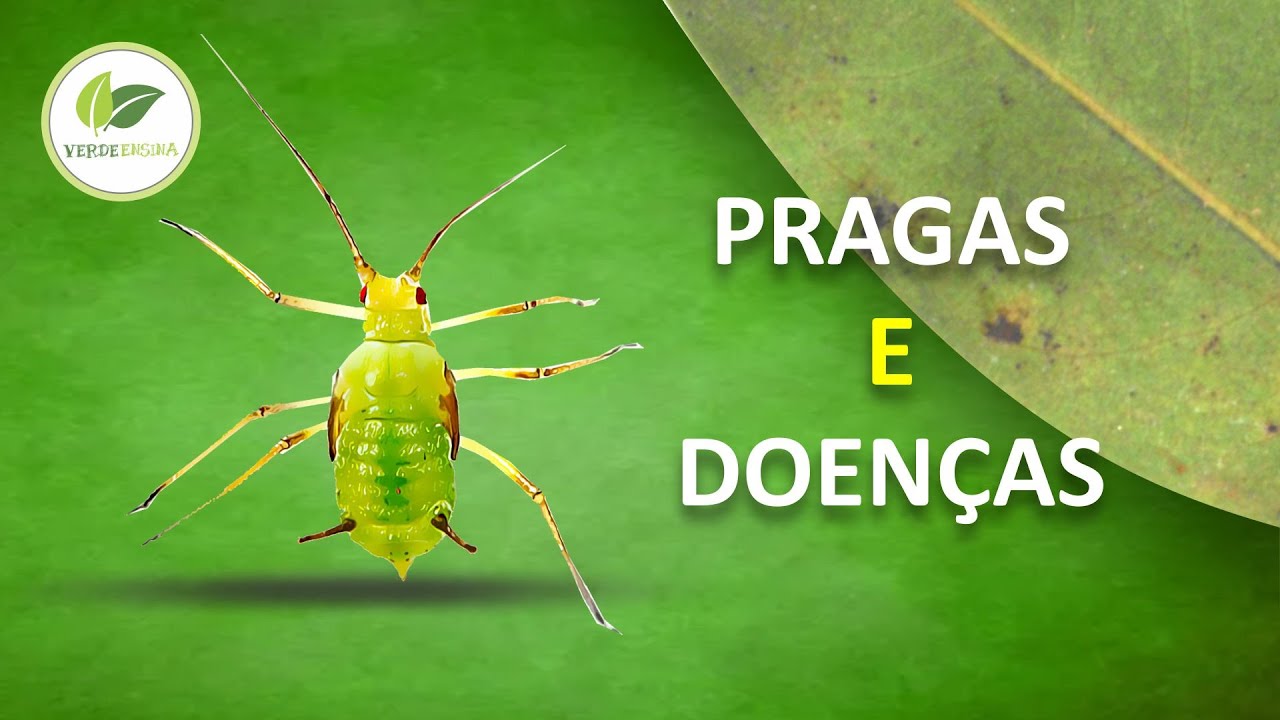 Controle de Pragas e doenças