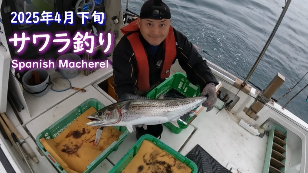 サワラ釣り　2025年4月下旬 一本釣りのイマイ