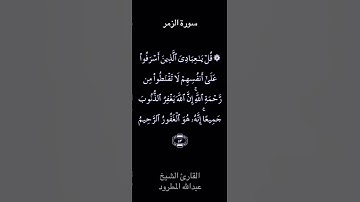 تلاوة عطرة بصوت الشيخ عبدالله المطرود/من سورة الزمر