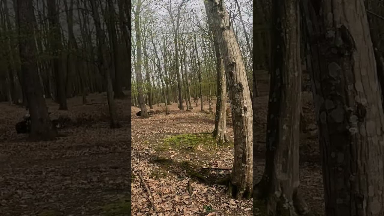 Atv Quad Subaru 450cc