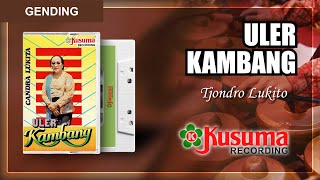 NYI TJONDROLUKITO ULER KAMBANG FULL ALBUM GENDING JAWA KLASIK TERBAIK (AUDIO MASTER)