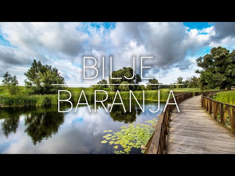 Gourmet paradise and nature of Baranya - Bilje - Kopački Rit Nature Park