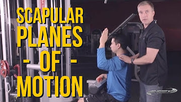 Scapular Planes of Motion | Exercise Science & Kinesiology