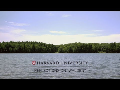 Thoreau at 200: Reflections on "Walden" thumbnail