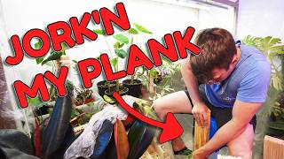 Extending Plant Planks And Giant Plant Wall Sneak Peak