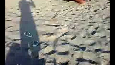 giochi da spiaggia