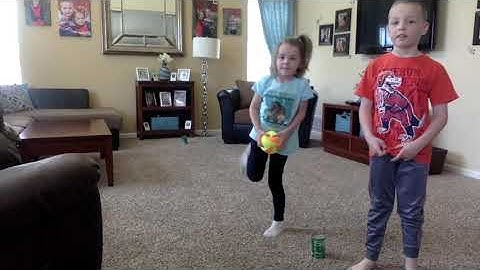 Virtual Field Day  Penguin Race