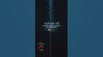 لا يستوي أصحاب النار وأصحاب الجنه بصوت القارئ عمر مختار القبلاني حفظه الله #قرآن #الضالع