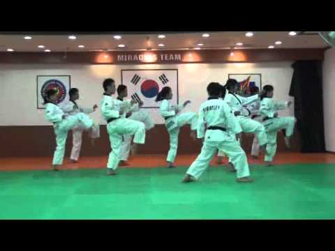 TAEKWONDO POOMSAE TAEGEUK 2 / TAEGEUK I JANG WITH MASTER KANG JAE JIN