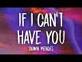 Shawn Mendes - If I Can