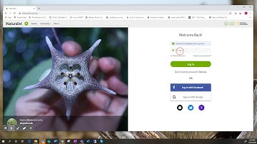 How to use iNaturalist as a citizen science tool | Port Phillip & Westernport CMA