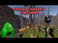 Animal Company All Lost Media Animal Company All Lost Media