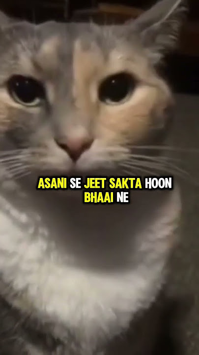 RENT A GIRLFRIEND MANGA REAL ENDING!#rentagirlfriendedit#chizuru#rentagf#kanojookarishimasu