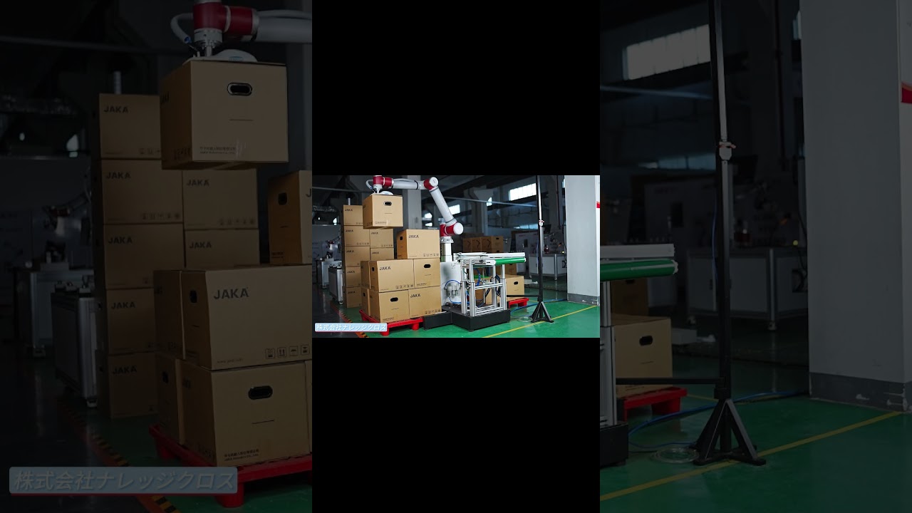 Palletizing System（YouTube）