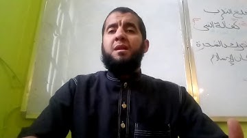 حمزة حناشي القارئ العالمي المرحلة الثانية
