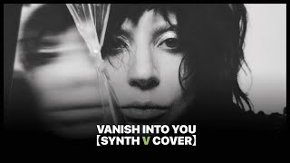 Vanish Into You