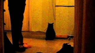 MVI_0901.avi