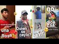 Humor viral mexicano 64si te ries pierdes divertido