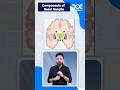 Doctutorials quicklearningbyte  components of basal ganglia   physiology   dr naveen porwal