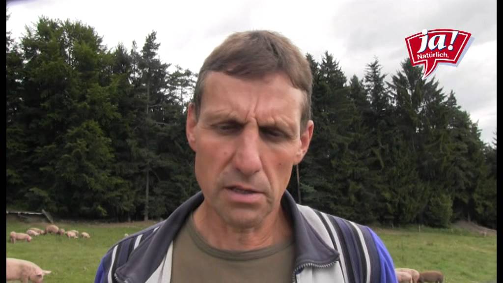 Bio-Freilandschweine im Waldviertel