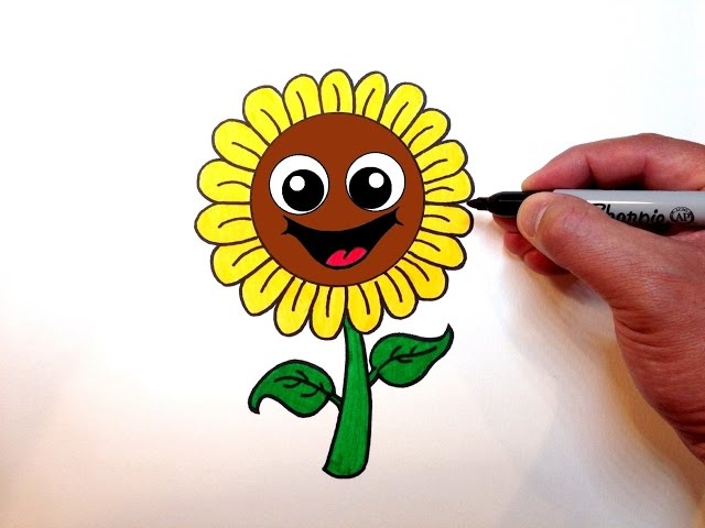 Sunflower Drawing ➤ How to draw a Sunflower