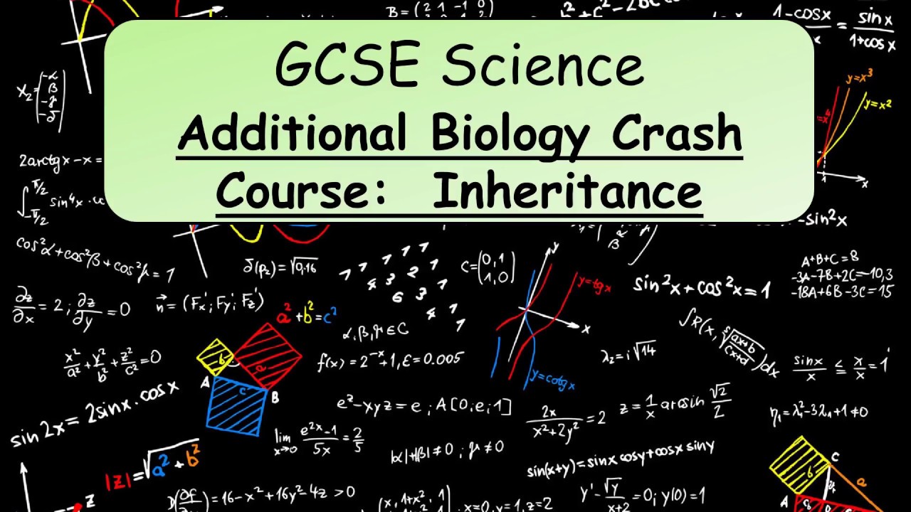GCSE Science Additional Biology Revision Crash Course on Inheritance