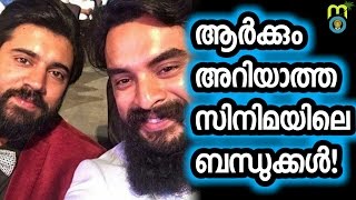 Do you know nivins relation to tovino.We are showing you the 6 unkn...