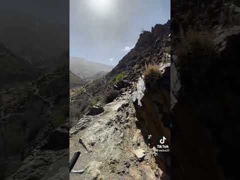 ضوار اكنتار يوراحب بيكوم