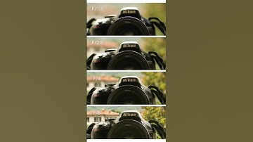 Depth of field! This photos show you visually how it works!