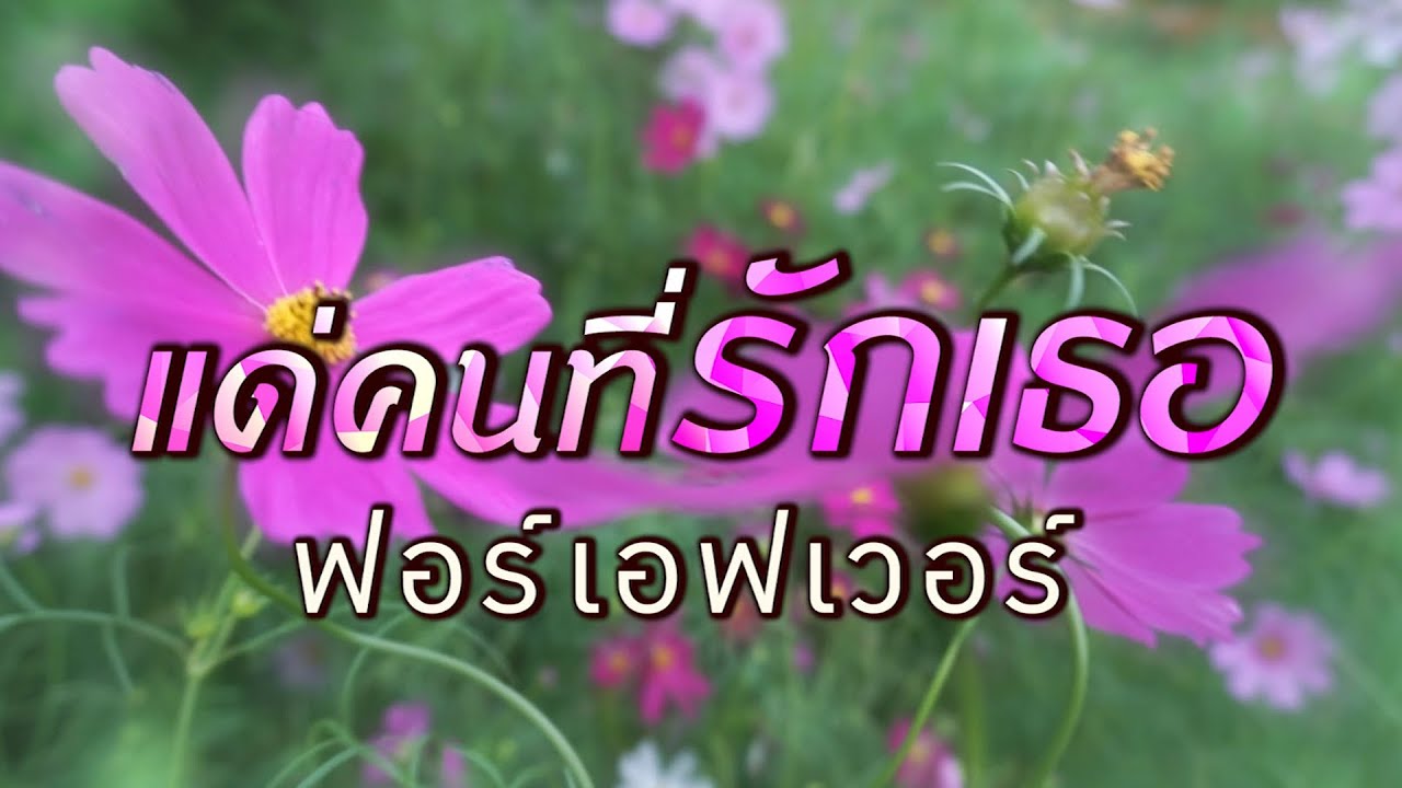 แด่คนที่รักเธอ - ฟอร์เอฟเวอร์ [ Official Audio ]