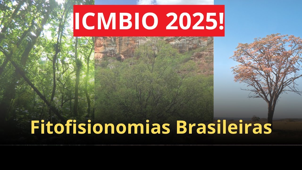Fitofisionomias Brasileiras