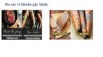 THCS_NVT_SINH_8 (BÀI 39, 40: BÀI TIẾT NƯỚC TIỂU VÀ VỆ SINH HỆ BÀI TIẾT NƯỚC TIỂU)