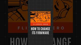 change / update flipper zero firmware - rogue master and momentum