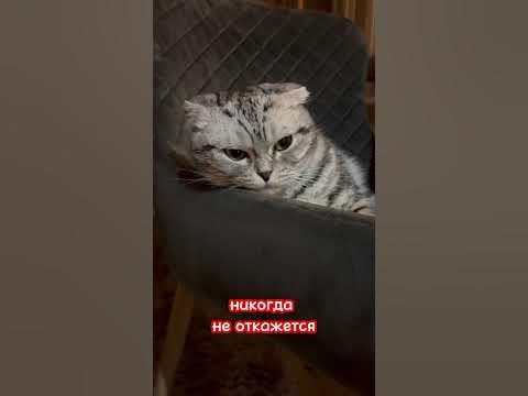 Даже самый суеверный человек - YouTube