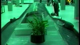 Sunbox - Belong Official Videoclip