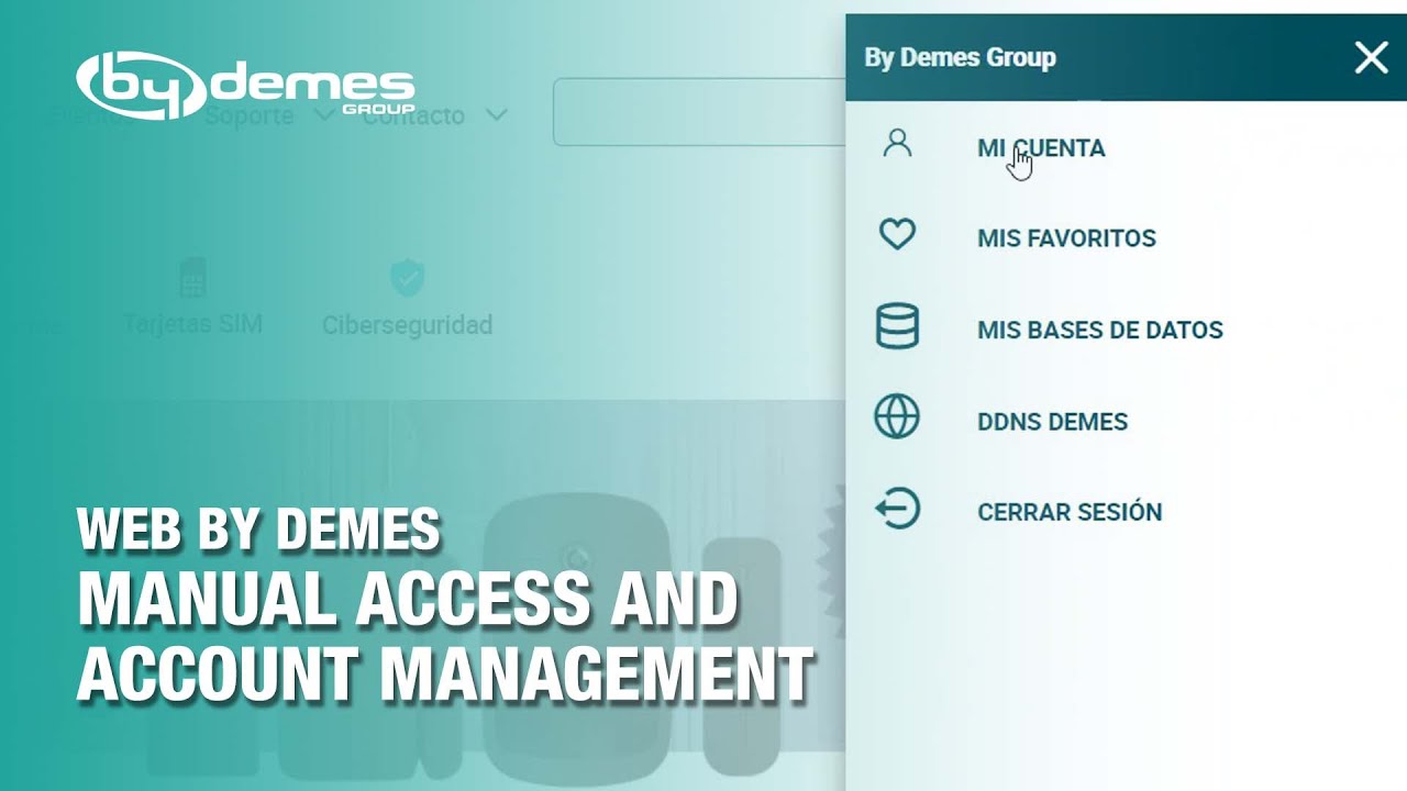 Web By Demes – Manual Access and Account Management | By Demes