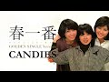 キャンディーズ 春一番 〜ゴールデン・シングル・ヴァージョン