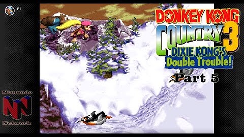 Donkey Kong Country 3 Let