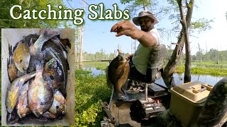 Bream Fishing at Lake Grampus 5-25-23