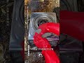 挑战清洁史上最脏房间！#cleaning #asmr#cleaning
