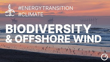 Offshore energy infrastructure and biodiversity