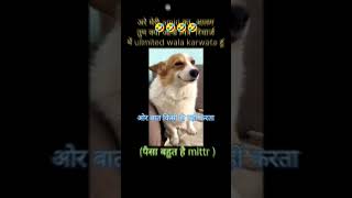 dogs 1K SUBSCIBER ⚜️🤣🤣## shots