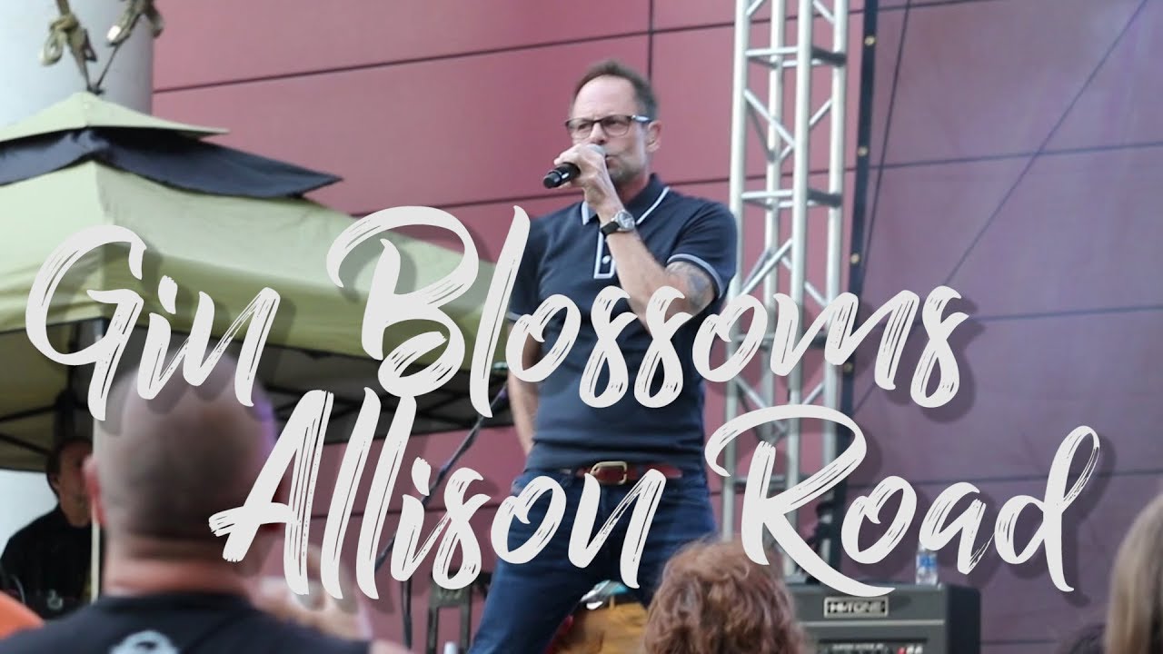 Gin Blossoms "Allison Road" Rochester, MN. Down by the Riverside YouTube